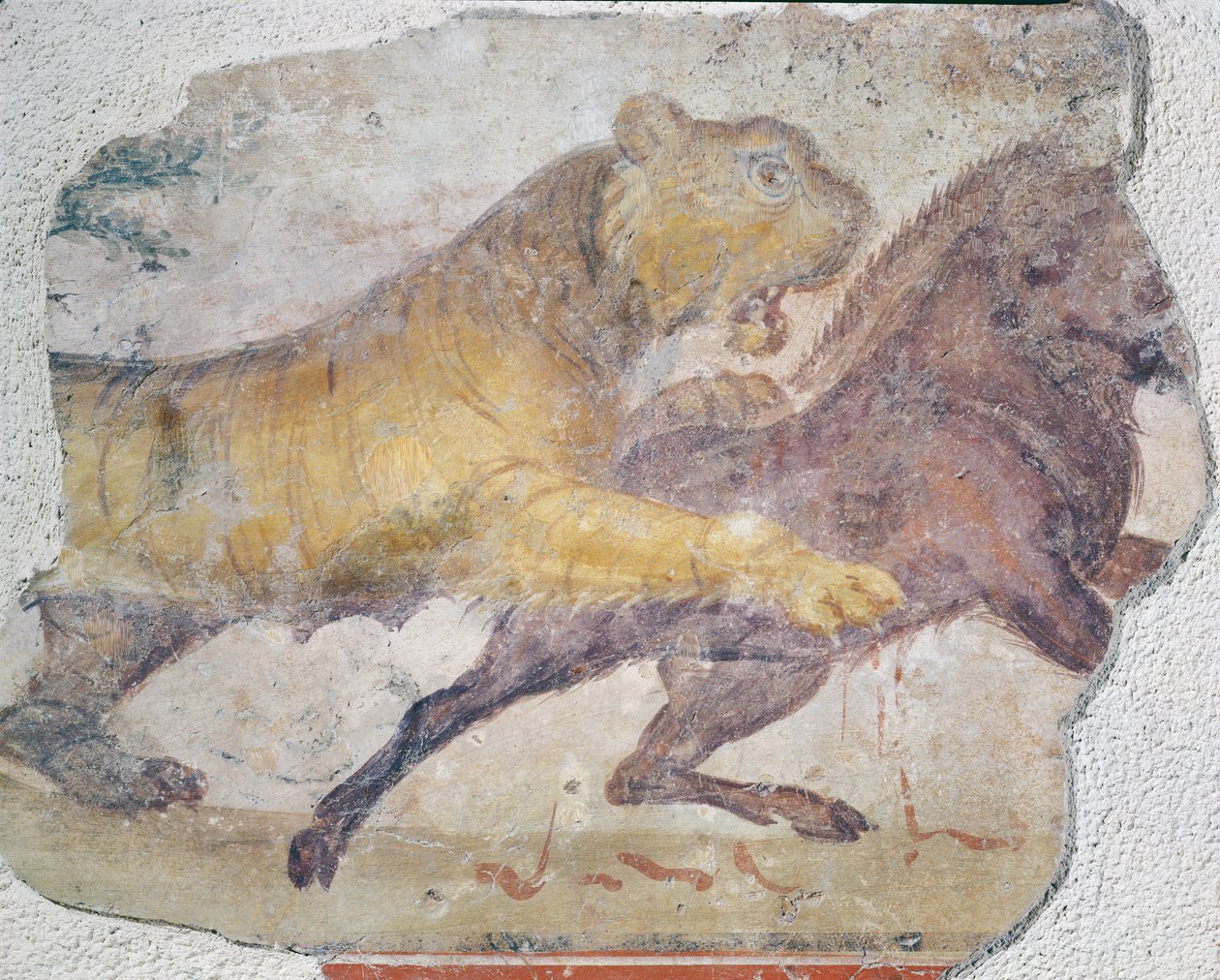 Tiikeri hyökkää villisia vastaan Meridan amfiteatterista tekijältä Roman