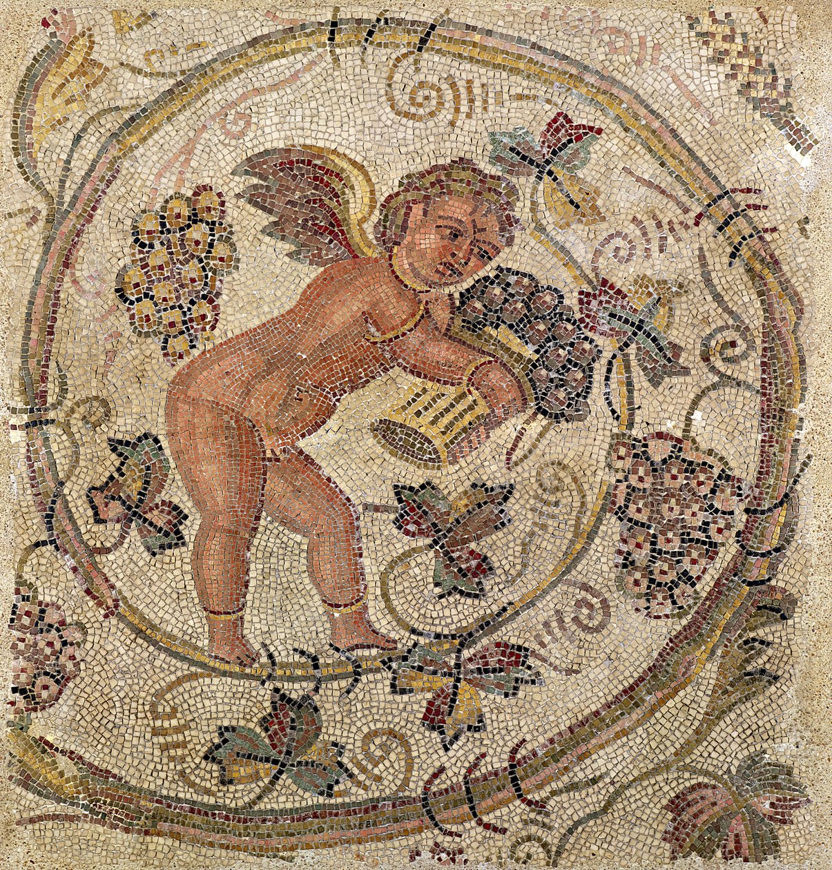 Amor poimimassa rypäleitä, päällysteen katkelma Carthagesta, Tunisiasta (mosaiikki) tekijältä Roman