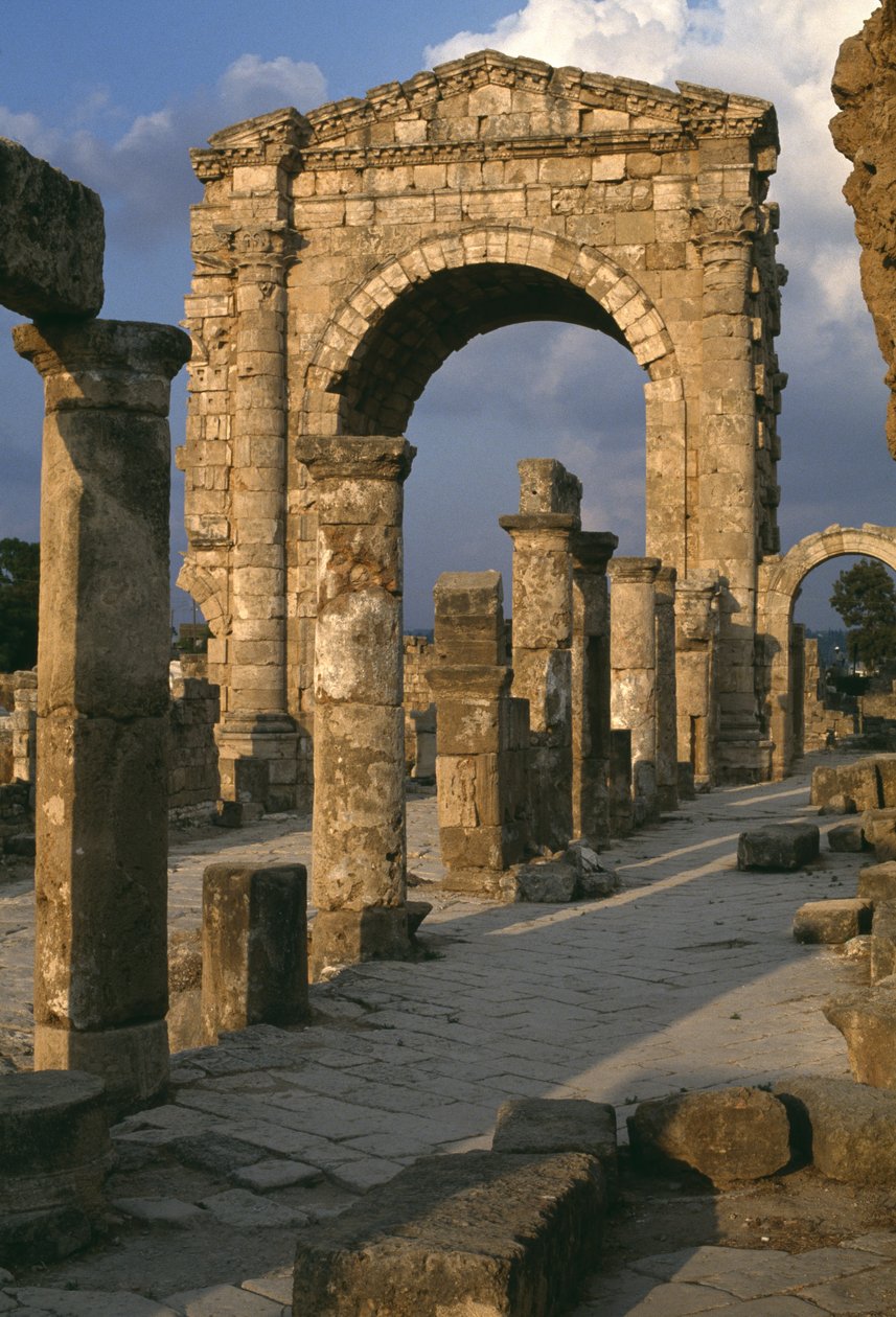 Voiton kaari tekijältä Roman