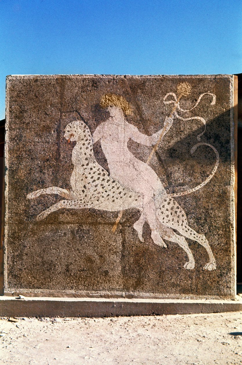 Bacchus ratsastaa leopardilla, 1.-2. vuosisadalla jKr (mosaiikki) tekijältä Roman