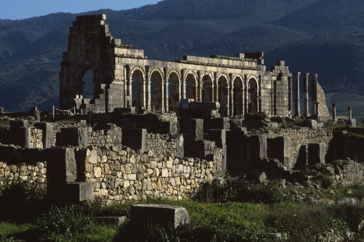 Basilika, 217 jKr tekijältä Roman