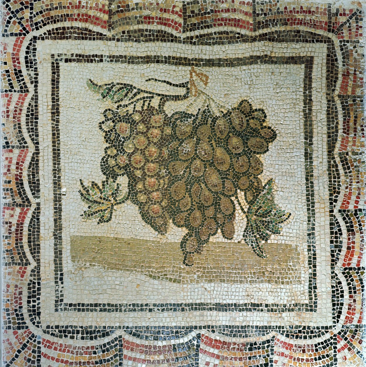 Nippu valkoisia rypäleitä, roomalainen mosaiikki (mosaiikki) tekijältä Roman