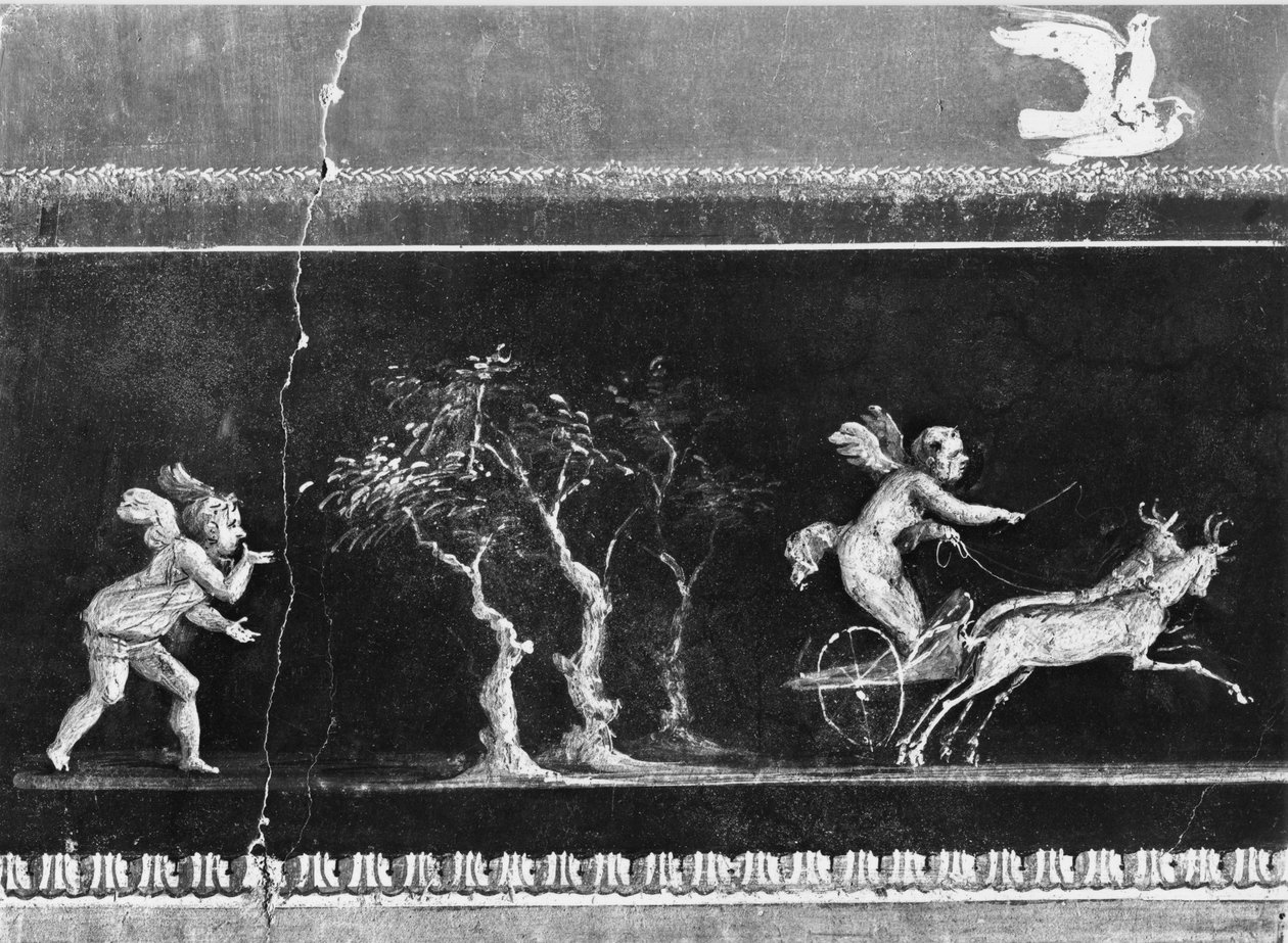 Kerubit vaunukisassa, friisi Casa dei Vettiin (Vettien talo) Oecuksesta n. 50-79 jKr (katso myös 215431) tekijältä Roman