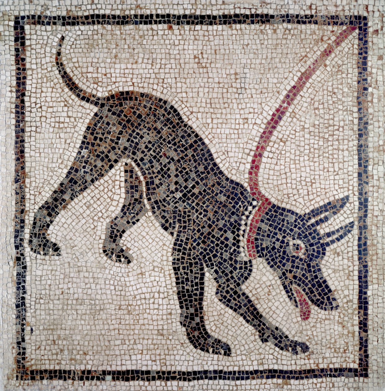 Koira hihnassa, Pompejista (mosaiikki) tekijältä Roman