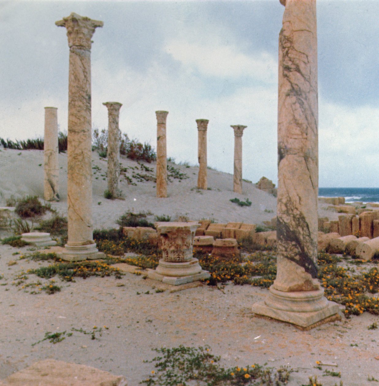 Kaivaukset dyynissä tekijältä Roman