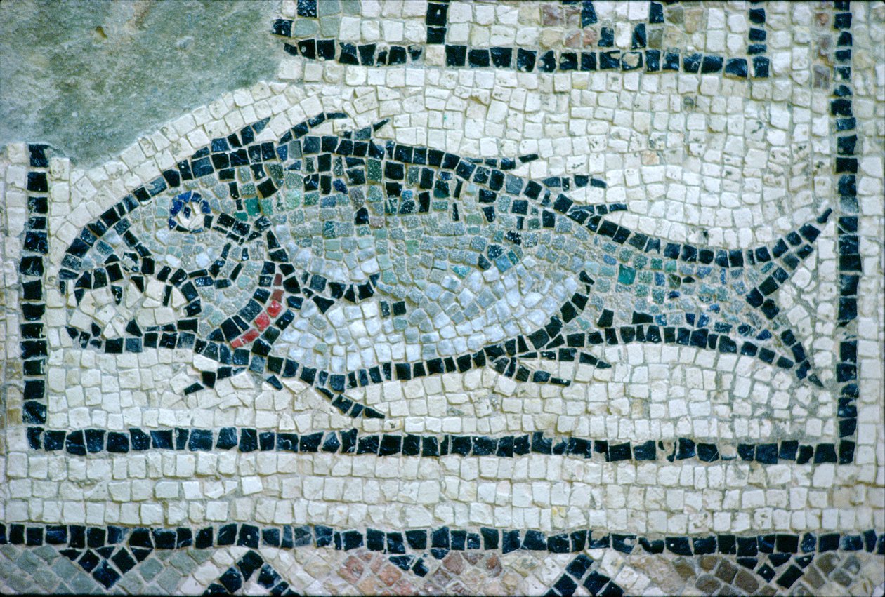 Kala roomalaisessa lattiassa (mosaiikki) tekijältä Roman