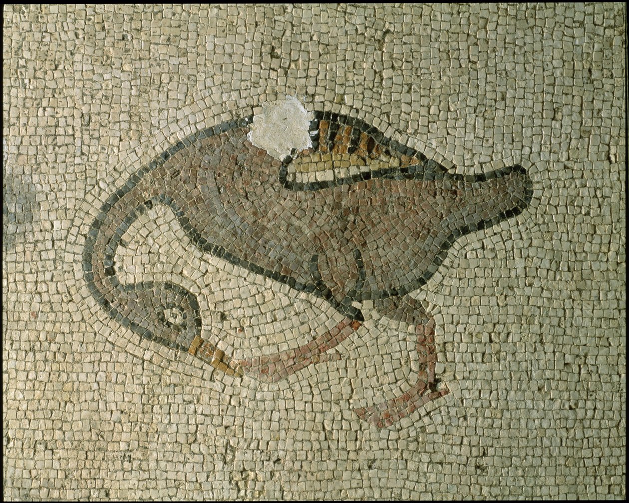 Basilikan lattia (mosaiikki) tekijältä Roman