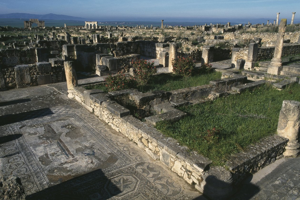 Yleisnäkymä tekijältä Roman