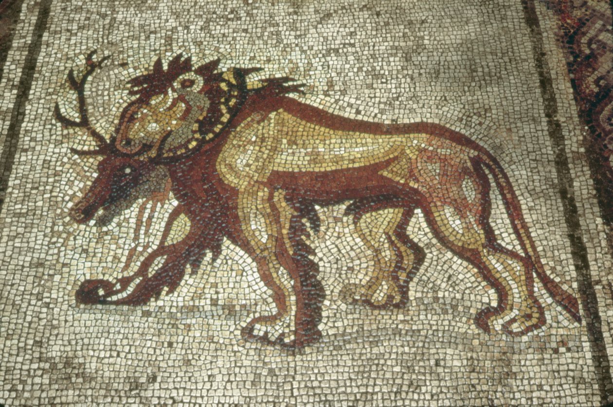 Lion, Insula XXI, rakennus 2, 200-luvun loppu jKr (mosaiikki) tekijältä Roman