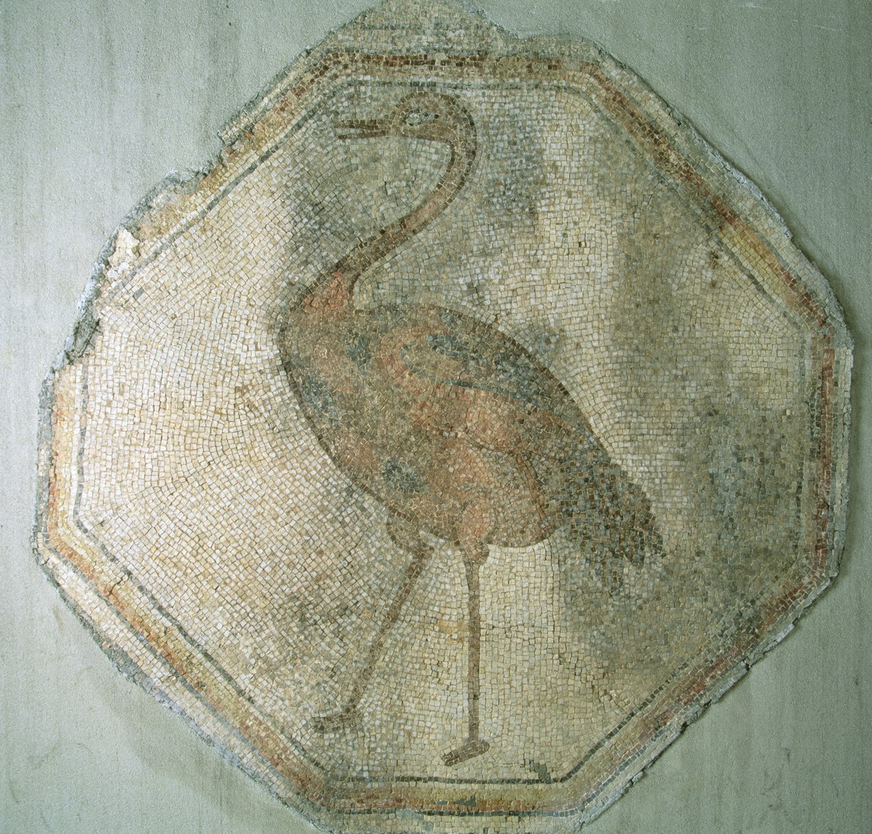 Strutsia kuvaava mosaiikki Salkimistä, Turkista tekijältä Roman