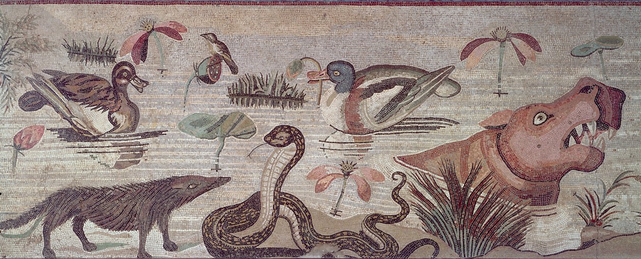 Niilin kohtaus, yksityiskohta ankoista, käärmeestä ja virtahevosta, Casa del Faunon Faun Pompeiin mosaiikkitalosta tekijältä Roman