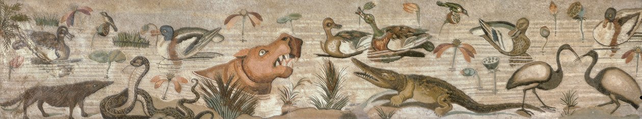 Niilin kohtaus Casa del Faunosta (faunin talo) Pompeii (mosaiikki) tekijältä Roman