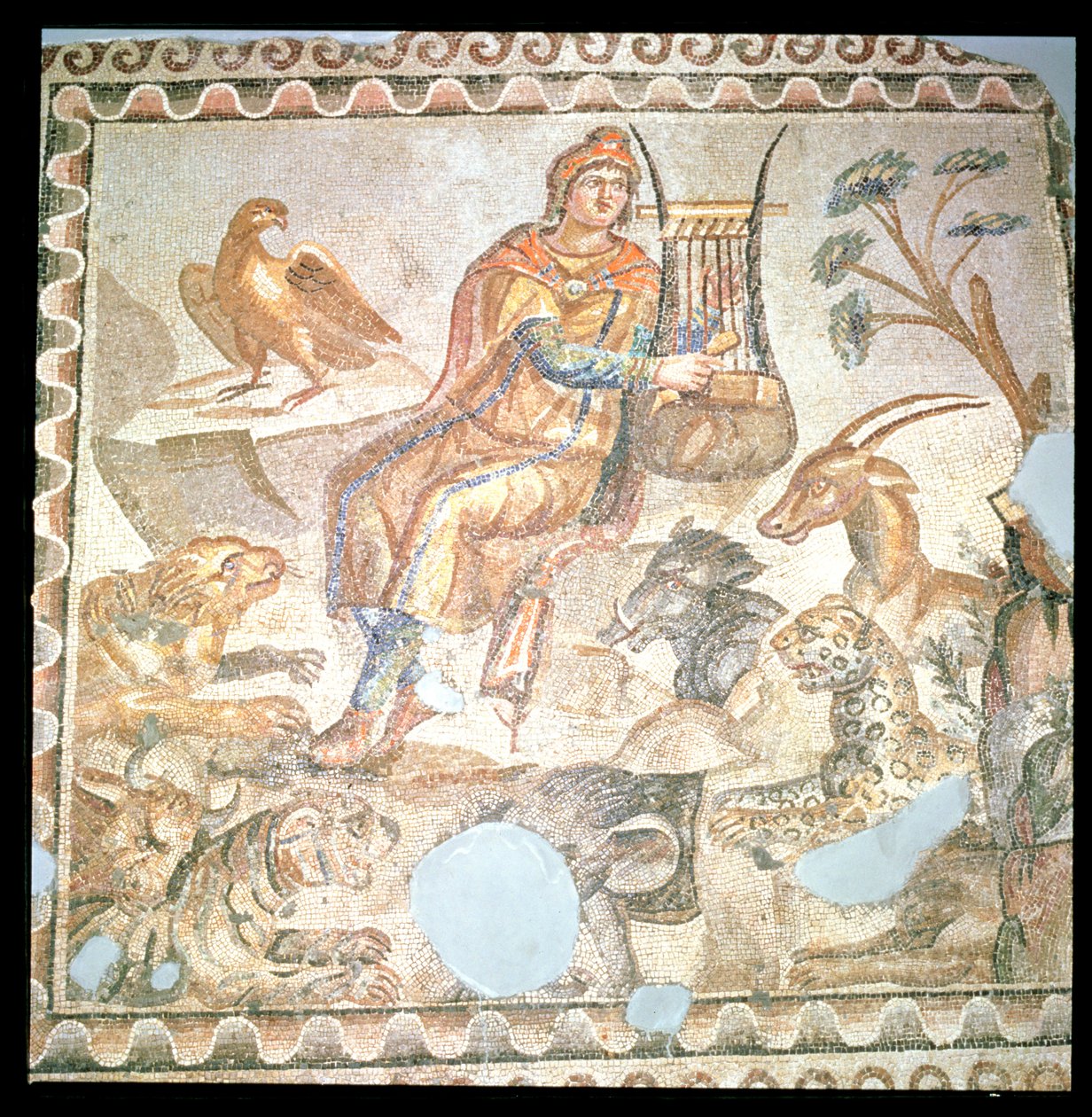 Orpheus leikkii eläimille, roomalainen mosaiikki (mosaiikki) tekijältä Roman