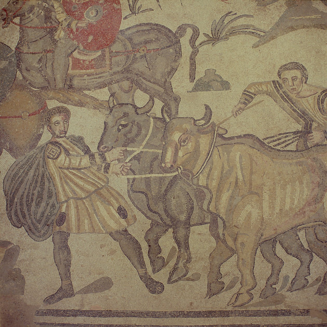 Vettä kuljettavat härät, roomalainen mosaiikki, 400-luvun alku (mosaiikki) tekijältä Roman
