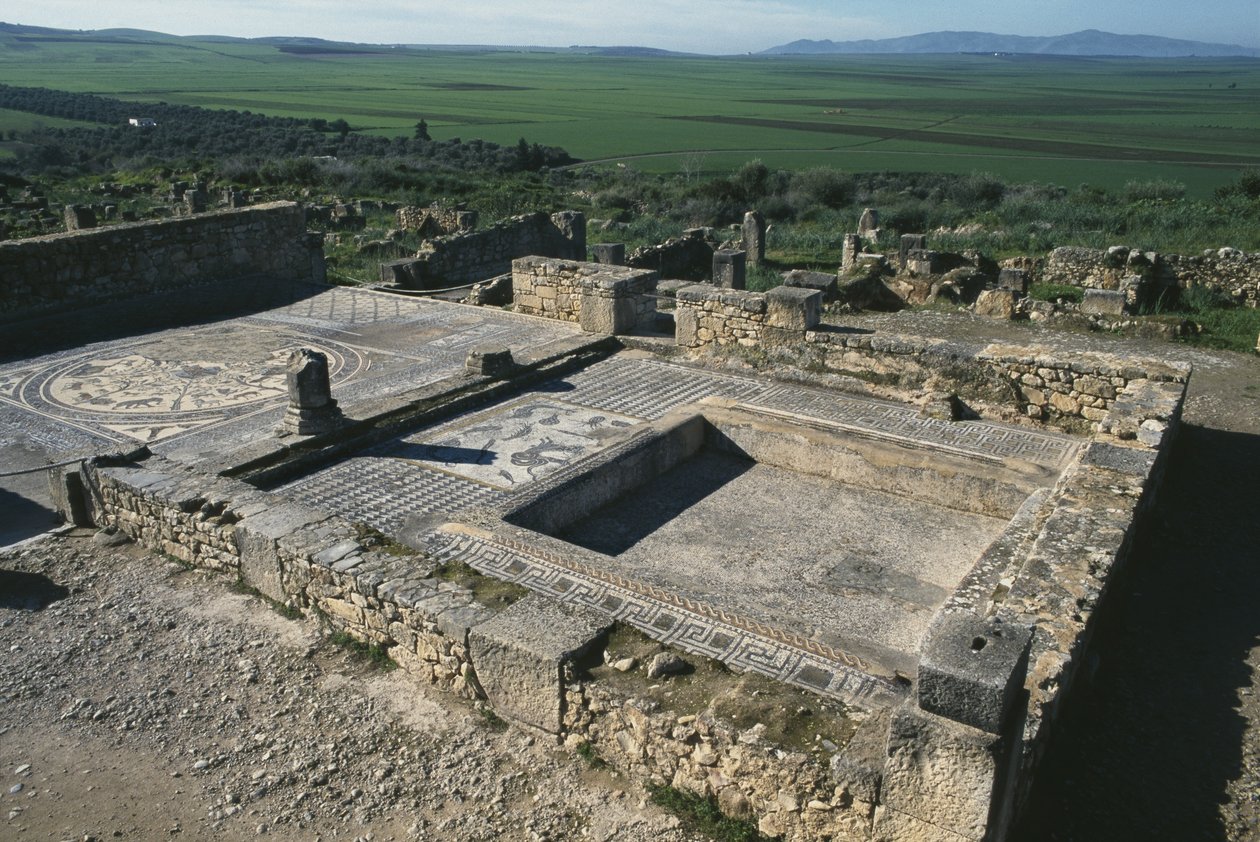 Patriisitalon jalkakäytävä tekijältä Roman