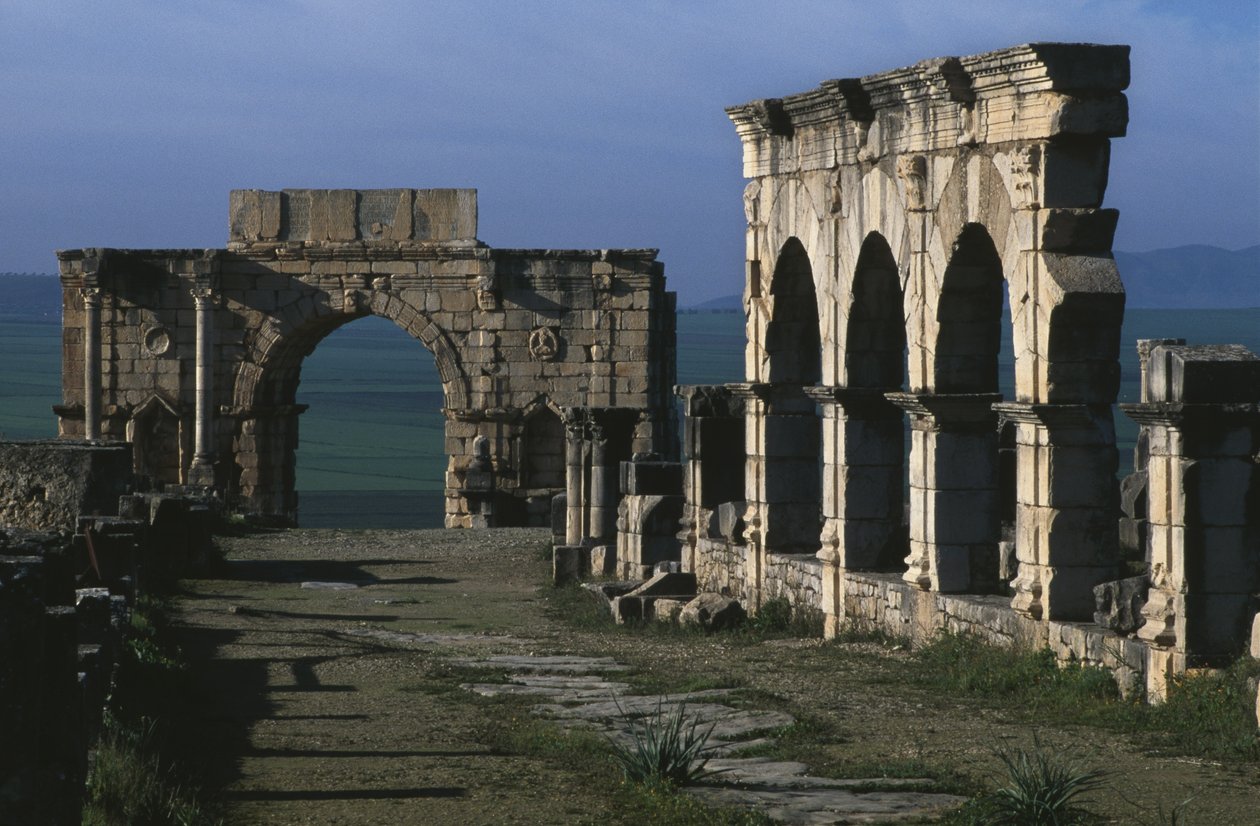 Portico Decumanus Maximus -kadulla ja Caracallan riemukaari tekijältä Roman
