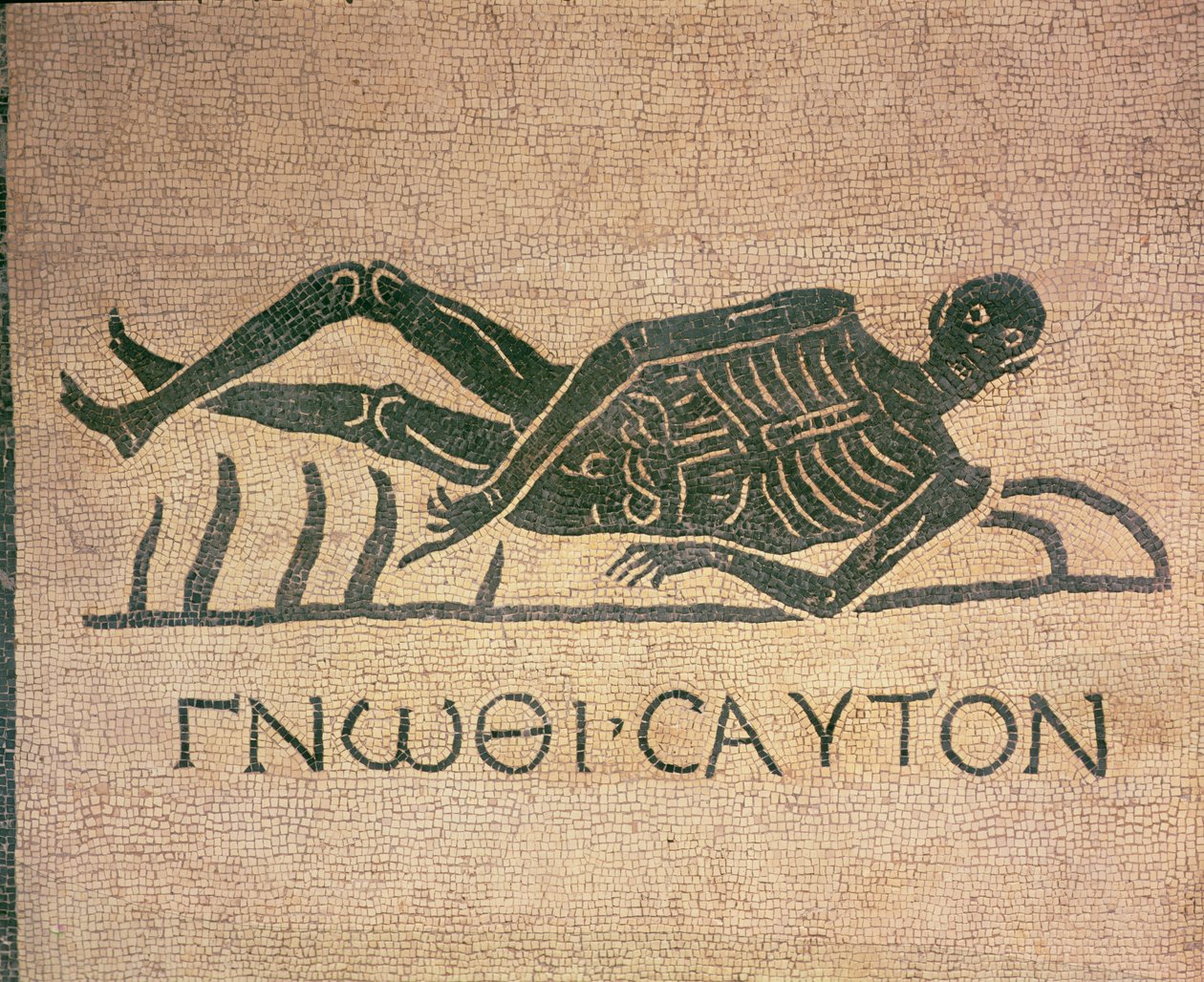 Makaava luuranko, jossa teksti "Tunne itsesi" (mosaiikki) tekijältä Roman