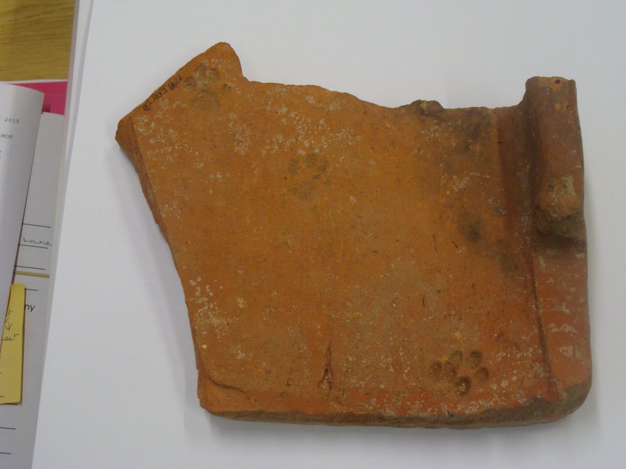 Roomalainen laatta kissan jalanjäljellä (keramiikka) tekijältä Roman