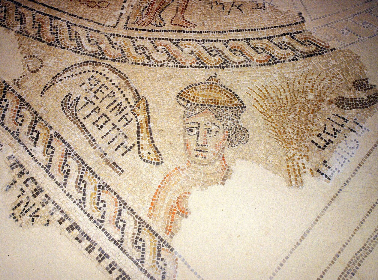 Sepphoris mosaiikki, Tzippori (mosaiikki) tekijältä Roman