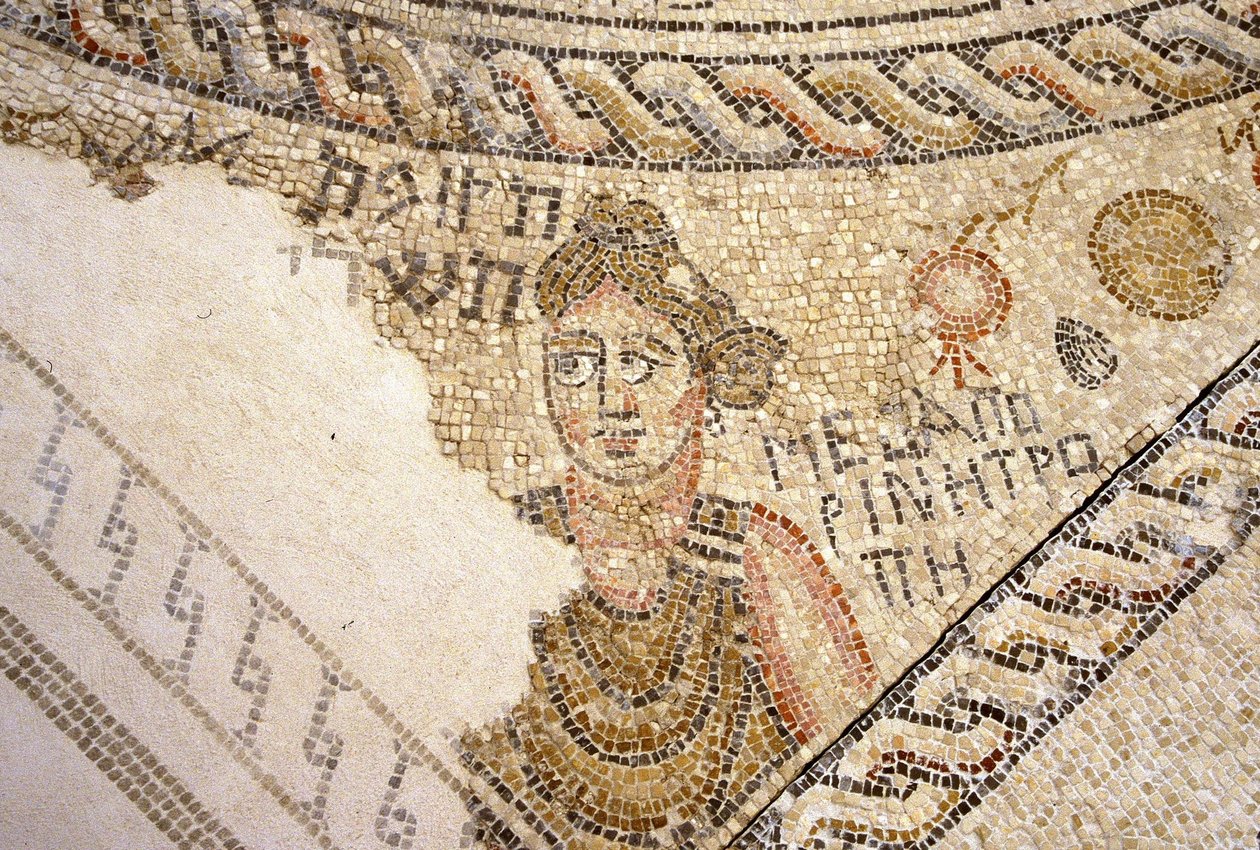 Sepphoris mosaiikki, Tzippori (mosaiikki) tekijältä Roman