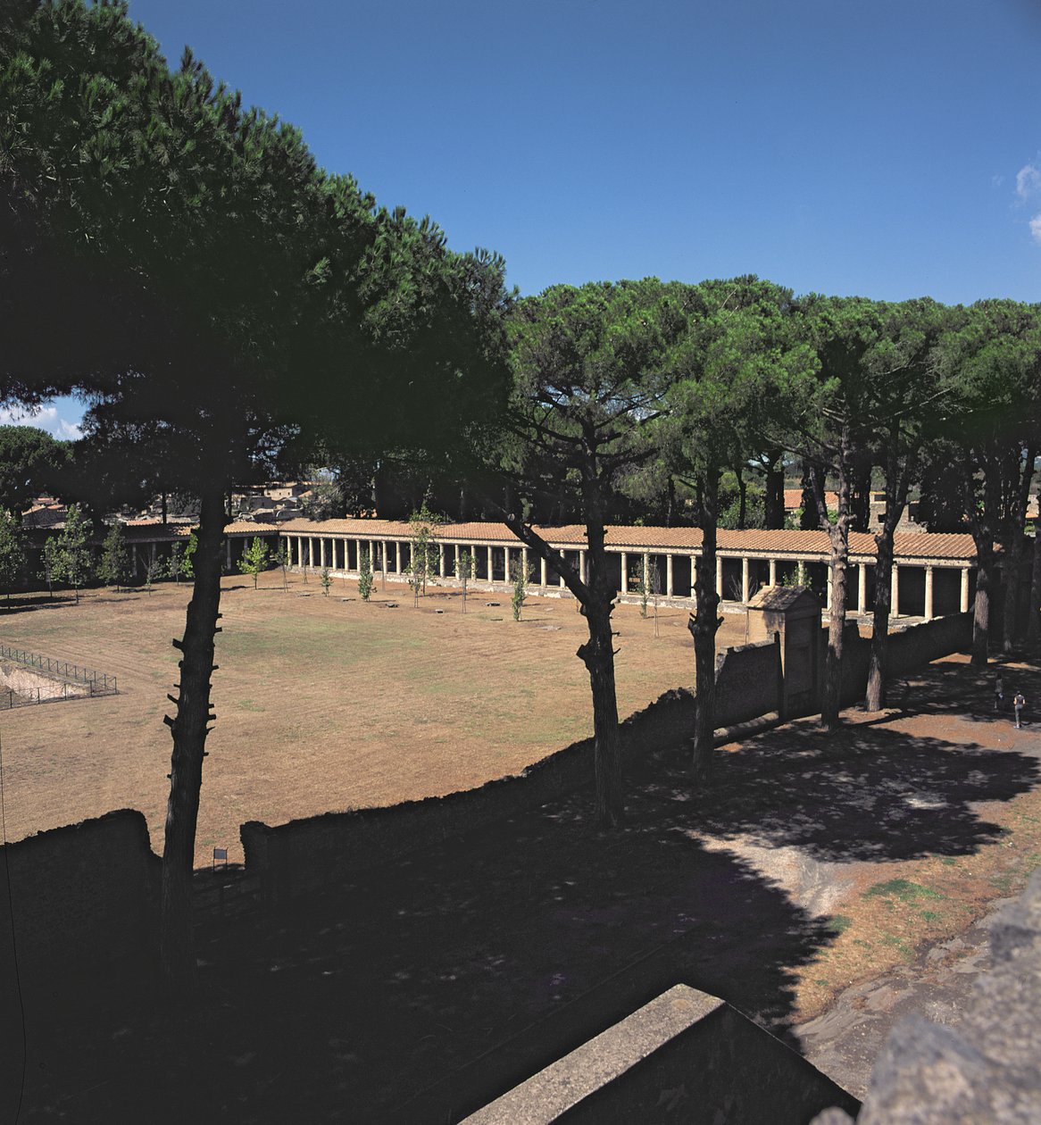 Suuri Palaestra tekijältä Roman