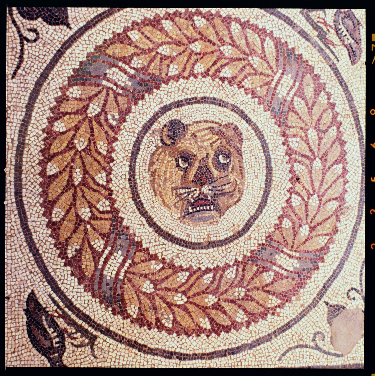 Tiikerin pää, roomalainen mosaiikki, 400-luvun alku (mosaiikki) tekijältä Roman