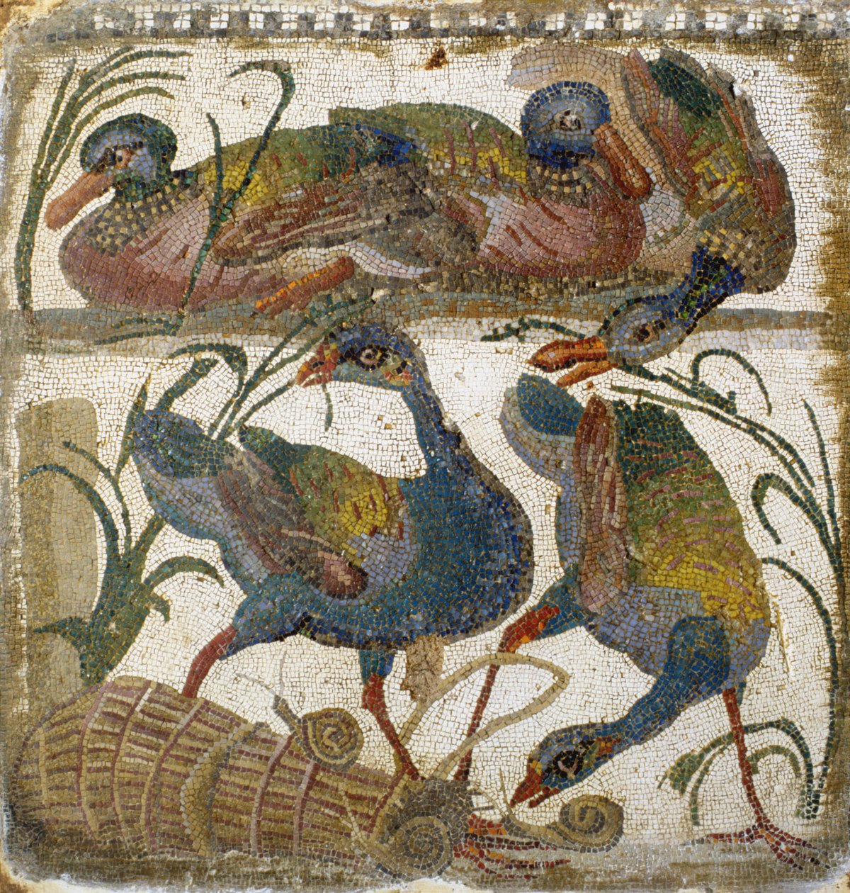 Vesilinnut (mosaiikki) tekijältä Roman