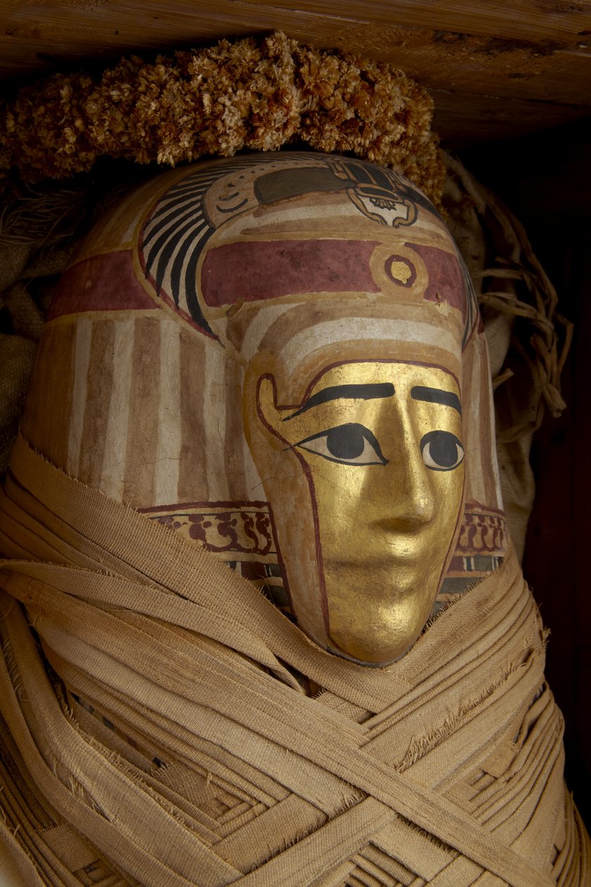 Ptolemaiosarkku, muumio kullatulla naamiolla ja kukkaseppeleitä (sypressipuuta) tekijältä Roman Period Egyptian