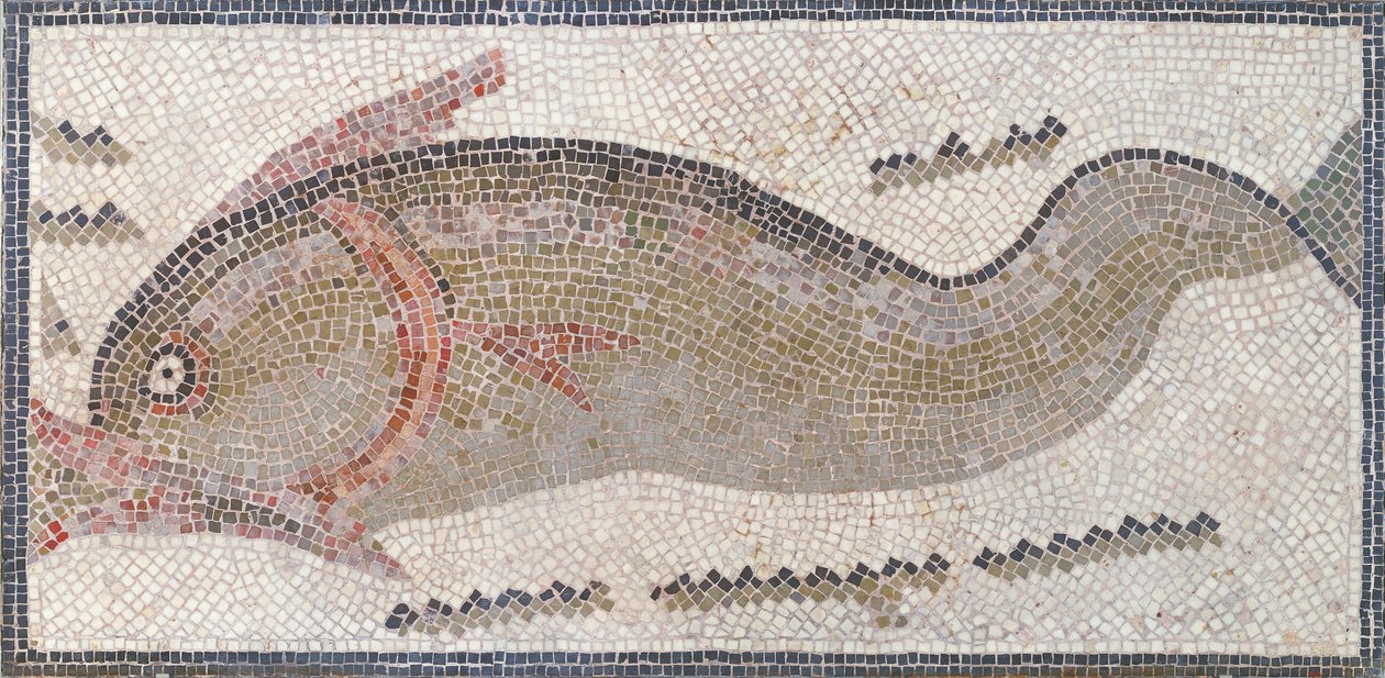 Delfiini, Tunisista, 3.-5. vuosisadalla jKr (mosaiikki) tekijältä Roman Roman