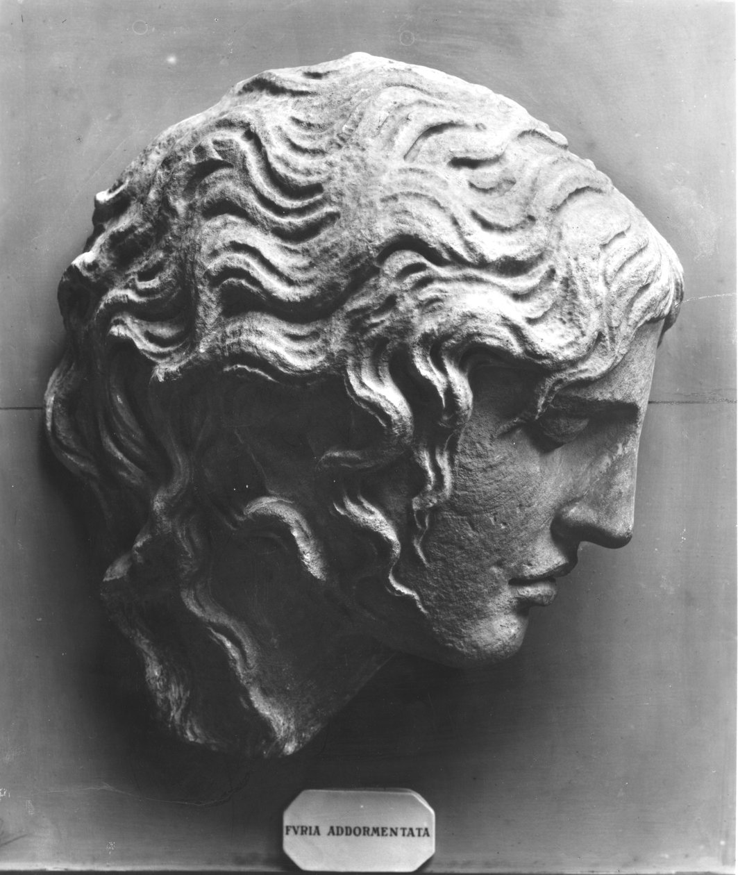 Nukkuvan raivon pää tai Medusa kuolee tekijältä Roman Roman