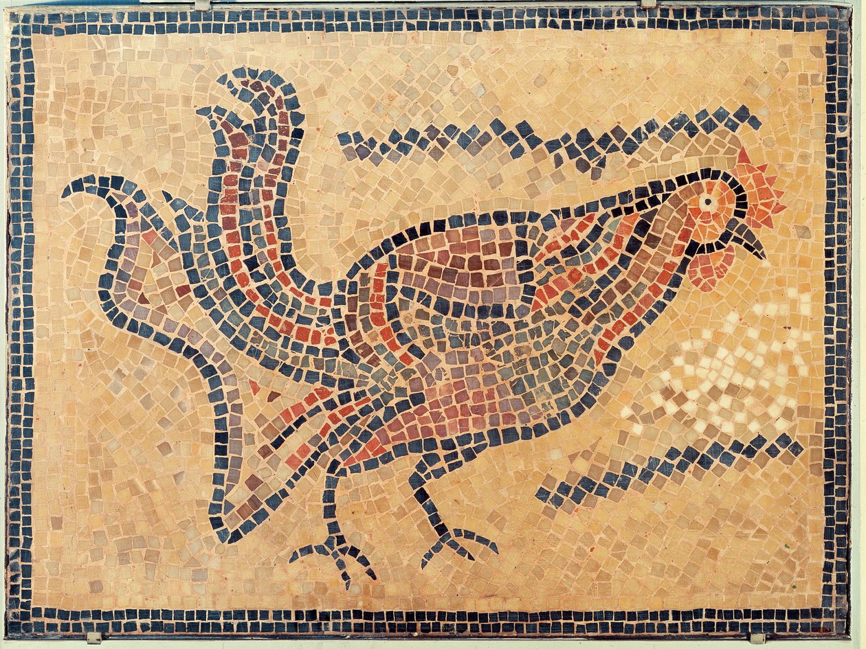 Kukko, Tunisista, luultavasti 500-luvun lopulla (mosaiikki) tekijältä Roman Roman