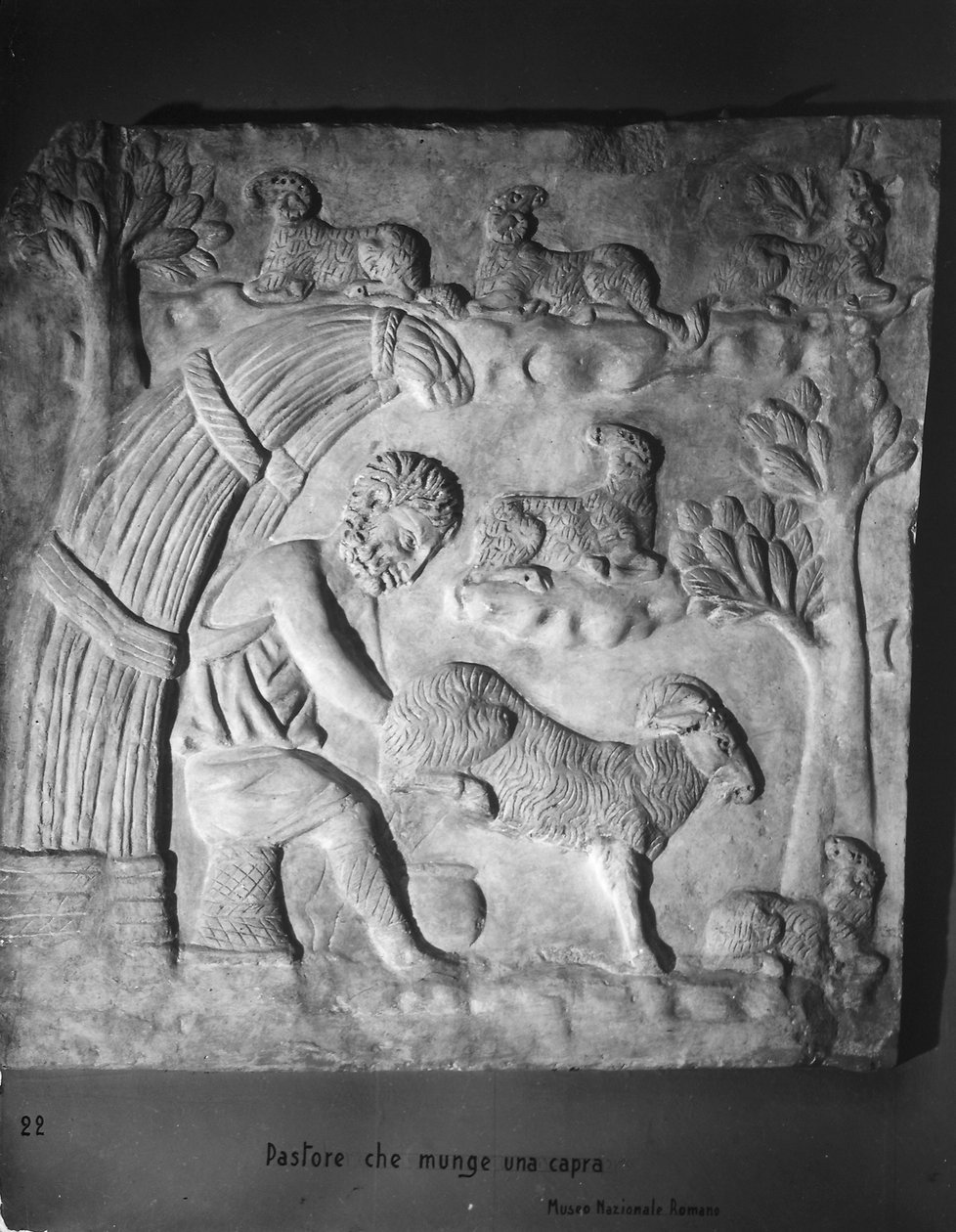 Paimen lypsää vuohia, yksityiskohta sarkofagista tekijältä Roman Roman