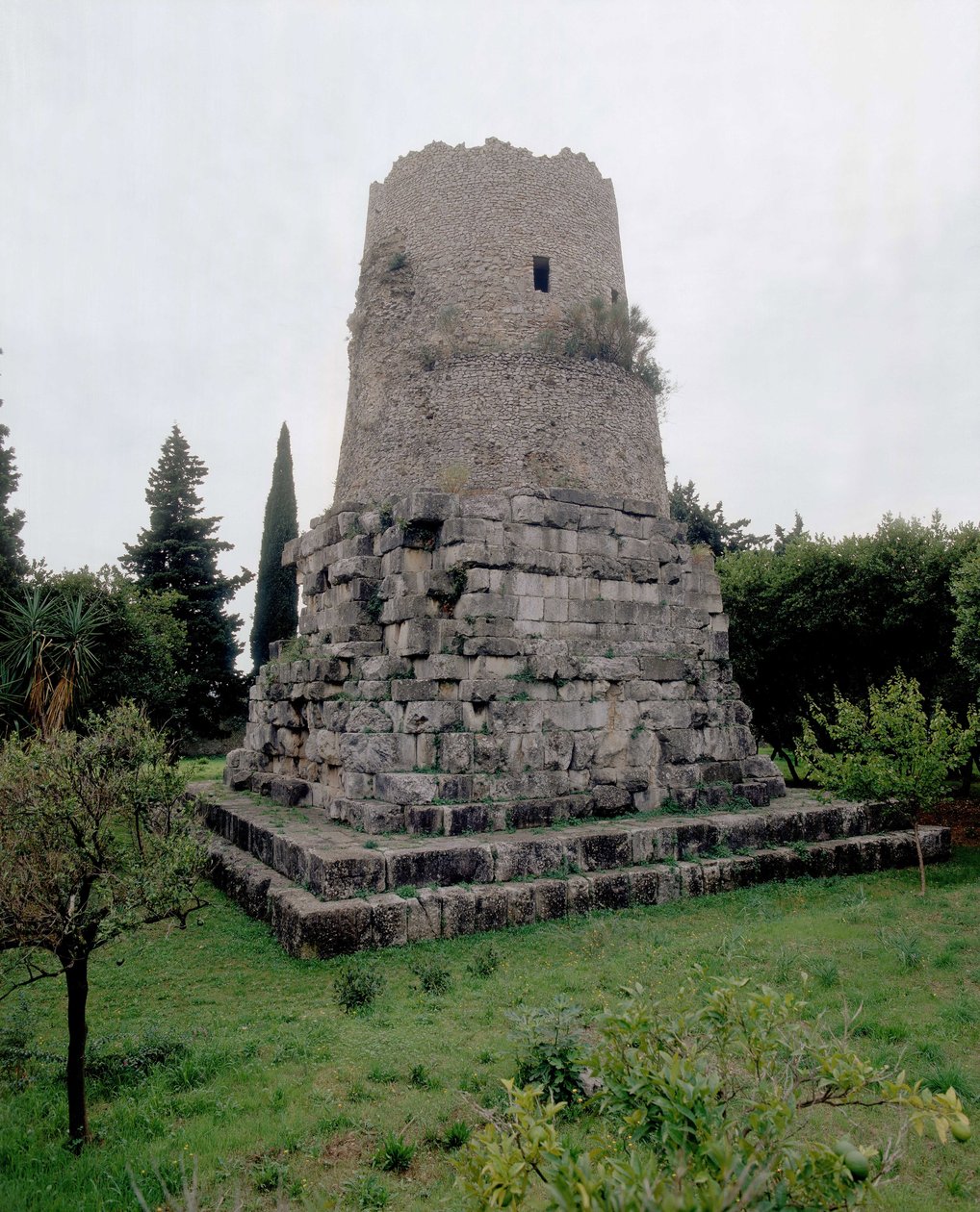 Ciceron hauta tekijältä Roman Roman