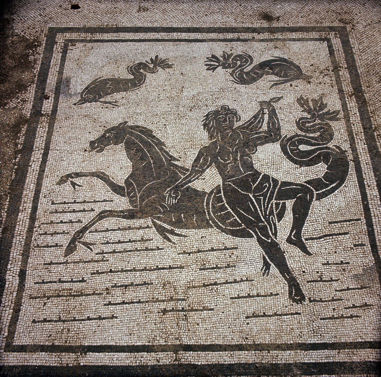 Muinainen Ostia (Ostia). Place des Corporations. Sabratha Seafarers Corporationin mosaiikki. Nymfi ja merihevonen. tekijältä Roman