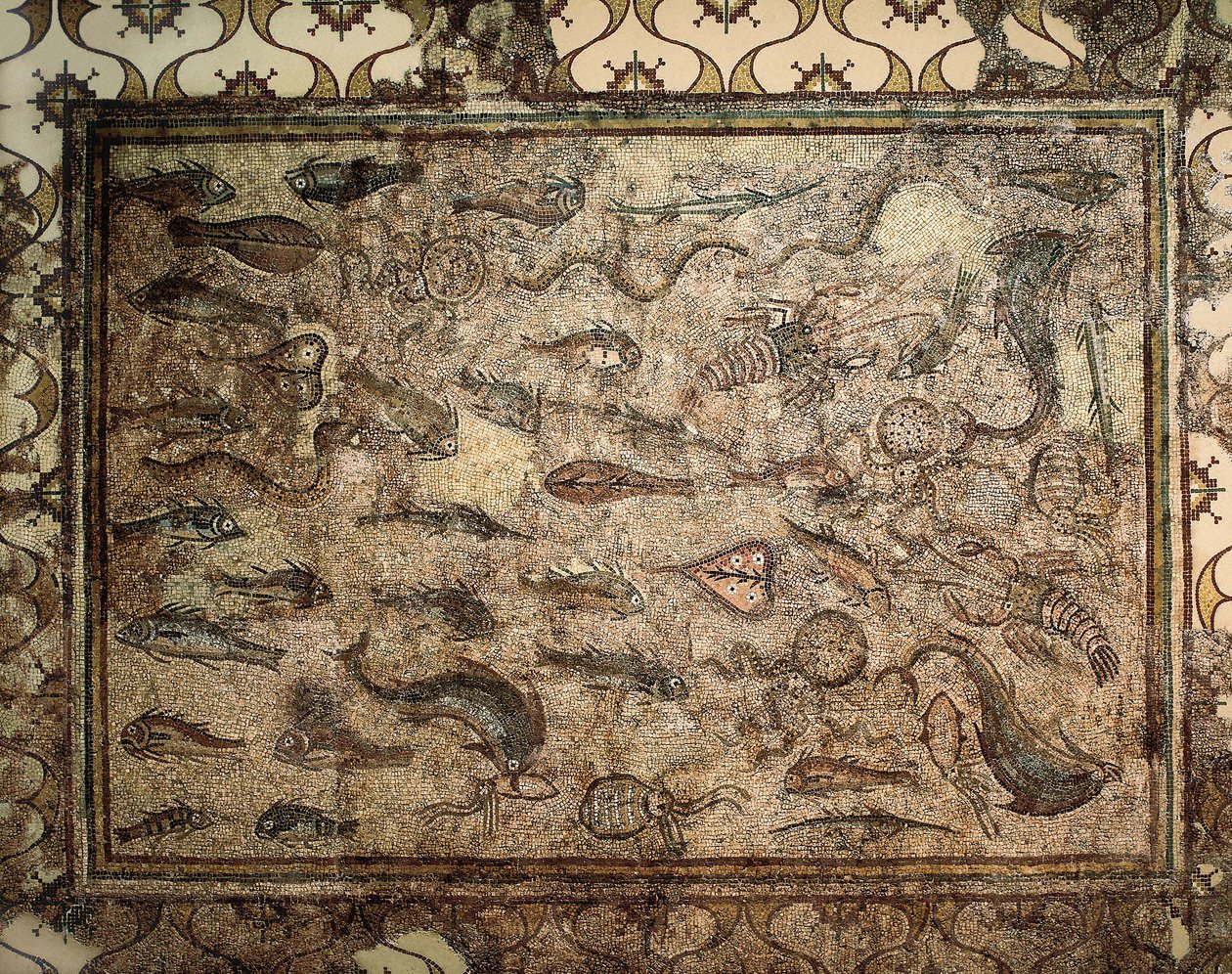 Roomalainen taide: kalojen mosaiikki. 3. vuosisadan alku. Tarragona. Kansallinen arkeologinen museo. tekijältä Roman