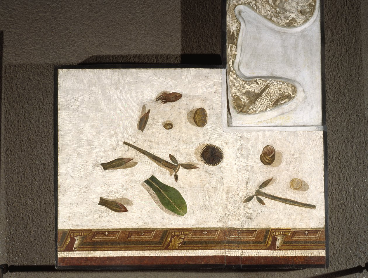 "Asarotos" (Lahjaamaton lattia) Haraklitonin signeeraama mosaiikkifragmentti Roomasta, 2. vuosisadalta jKr., Rooma tekijältä Roman