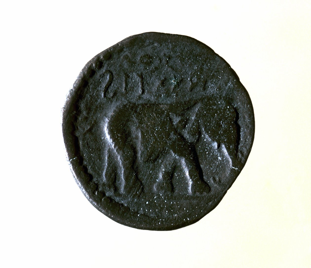 Karthago kolikko, joka edustaa norsua. 3. tai 2. vuosisadalla eaa. tekijältä Roman
