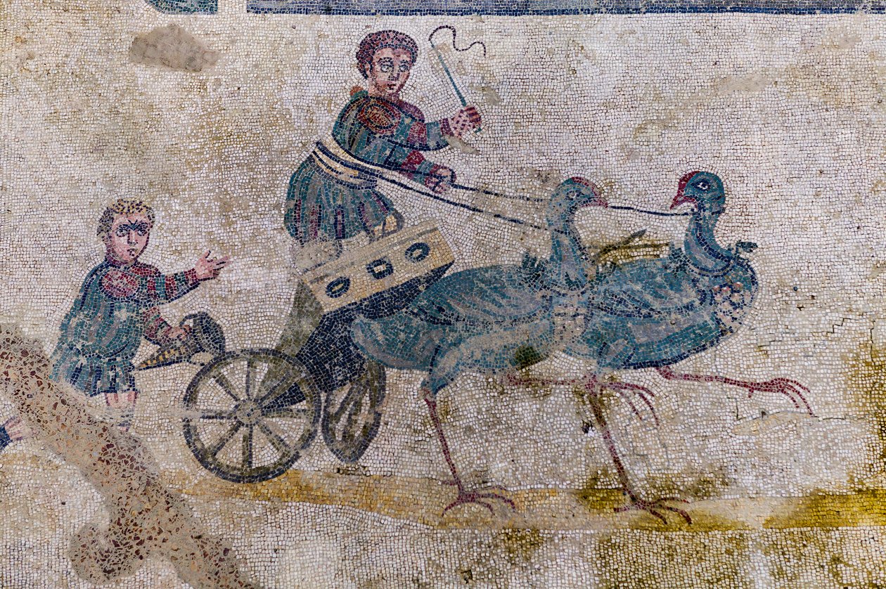 Vaunukilpailu lintujen vetämillä kartoilla (mosaiikki) tekijältä Roman