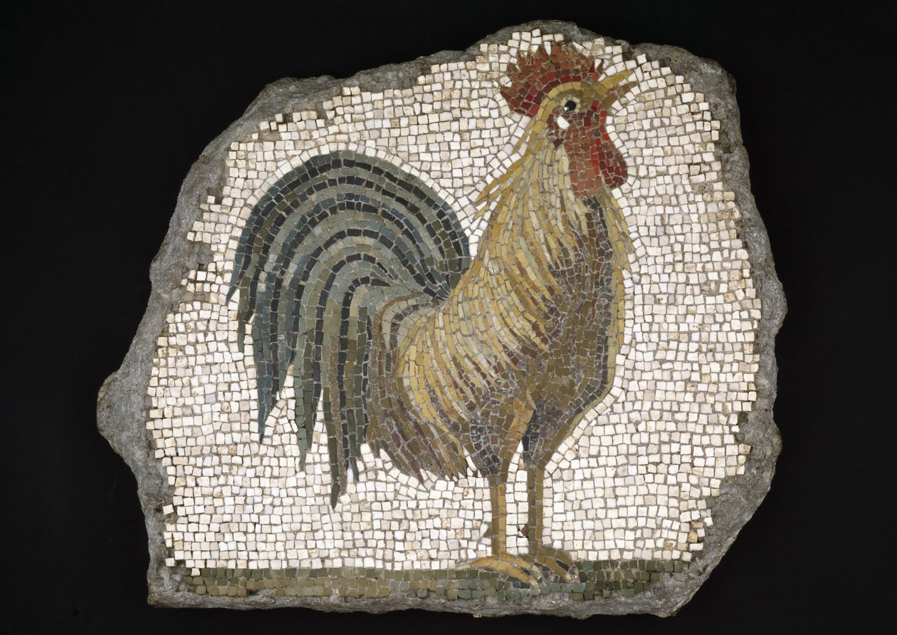 Kukko (mosaiikki) tekijältä Roman