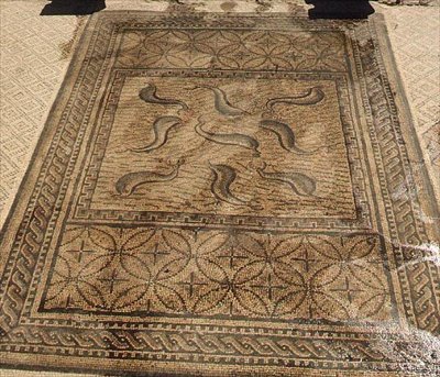 Delfiinit, roomalainen mosaiikki Orpheuksen talosta, 3. vuosisadalta jKr. (mosaiikki) tekijältä Roman