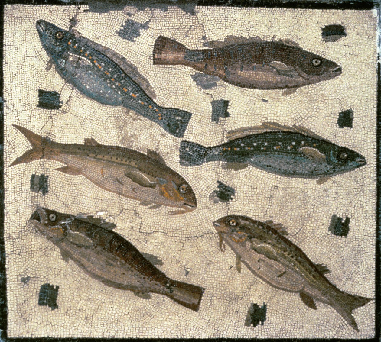 Kala (mosaiikki) tekijältä Roman