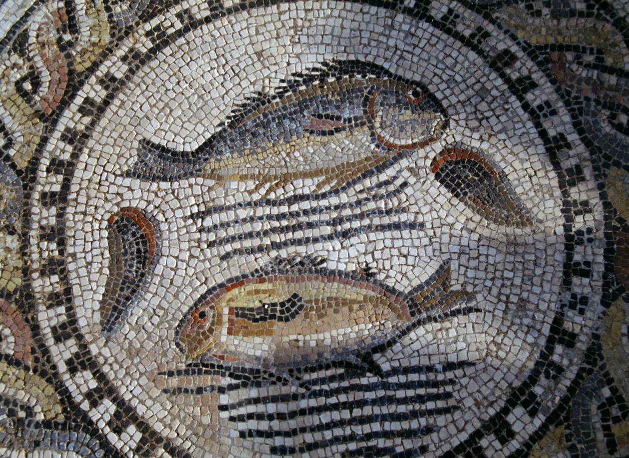 Kala, mosaiikki roomalaisessa Volubilisin kaupungissa (UNESCOn maailmanperintöluettelo). tekijältä Roman