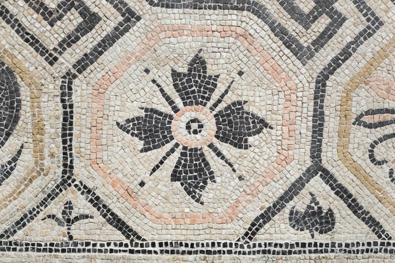 Geometrinen kuvio Via san Rocchinon talosta, 2. vuosisata jKr. (mosaiikki). tekijältä Roman