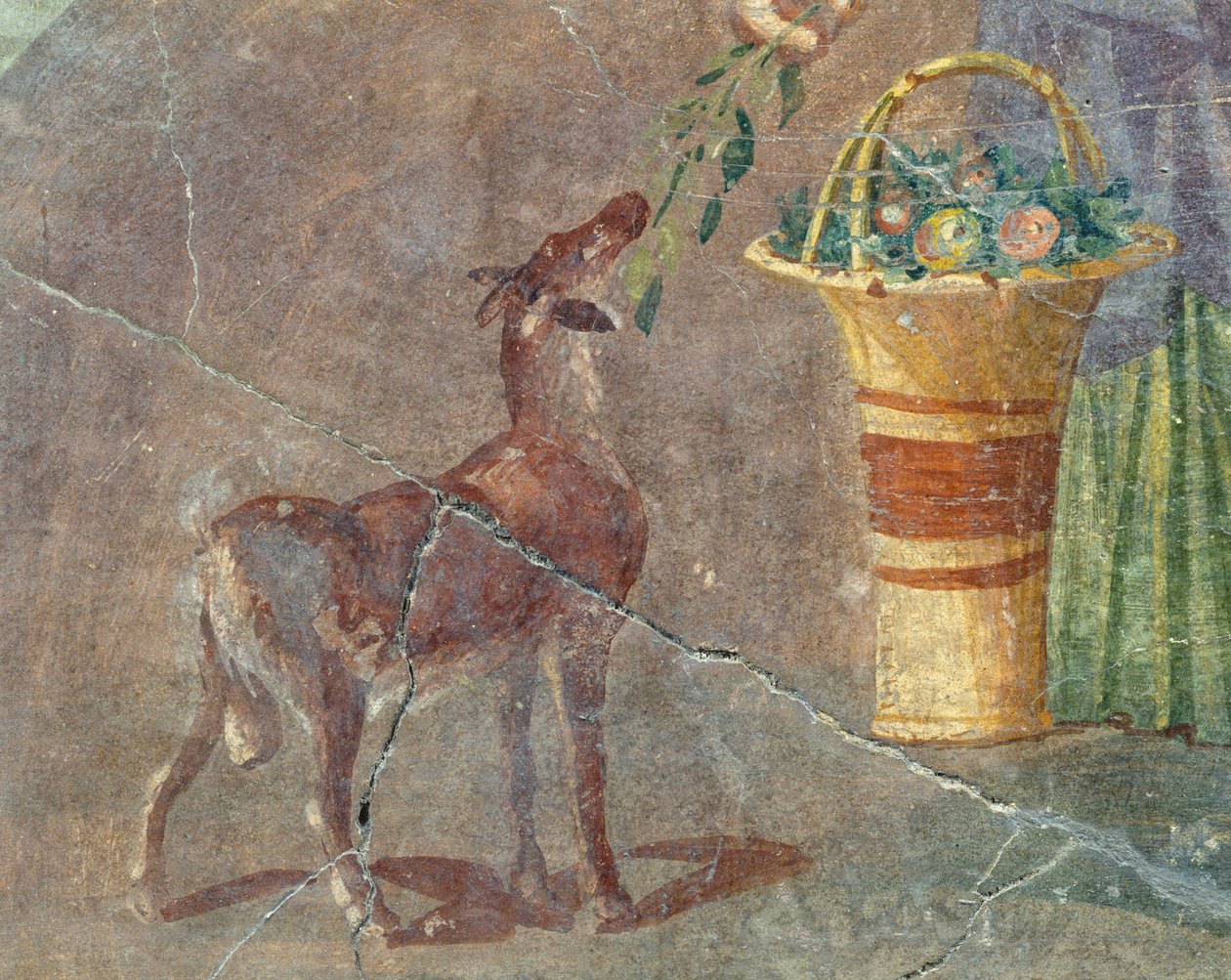 Vuohi ja hedelmäkori, fresko Pompejista, Campaniasta, Italiasta, roomalaisesta sivilisaatiosta tekijältä Roman
