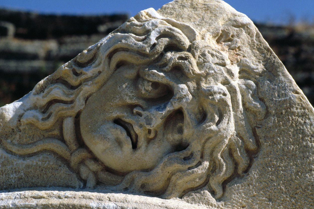 Medusan johtaja tekijältä Roman