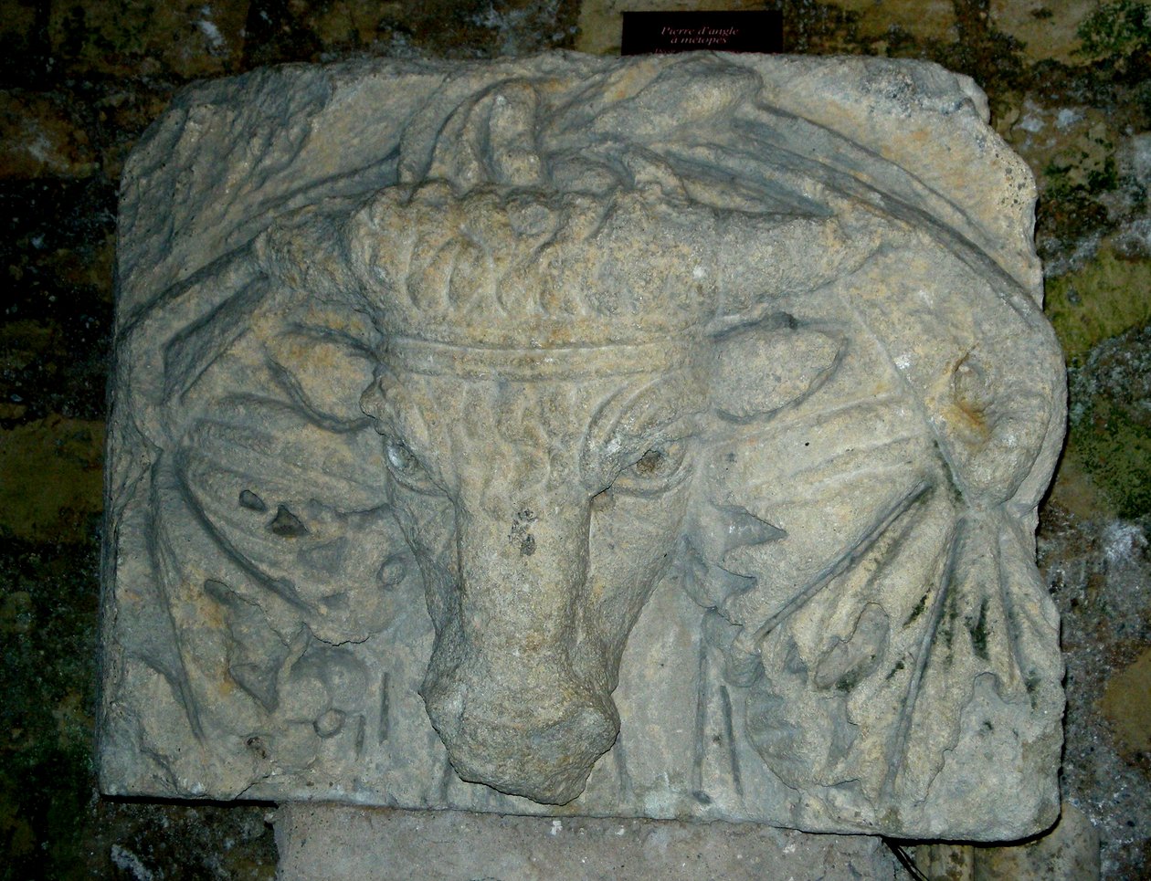 Härän pää tekijältä Roman