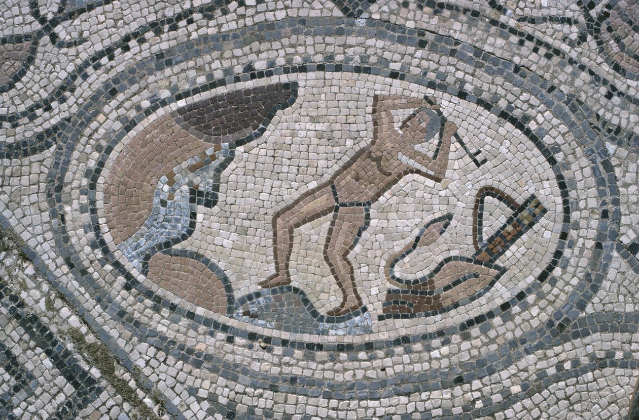 Hercules ja Augean Stables, "Herculesin talon" lattiasta (mosaiikki) tekijältä Roman