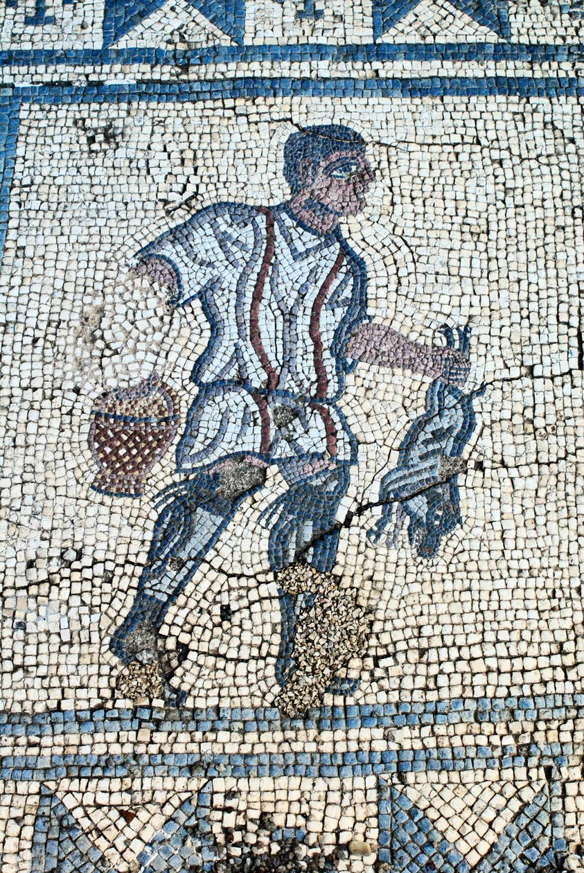 Metsästäjä roomalaisessa puutarhassa (mosaiikki) tekijältä Roman