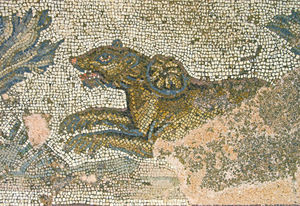 Metsästyskohtaus, yksityiskohta leijonasta, Dionysoksen talo, Pafos, Kyproksen mosaiikki tekijältä Roman