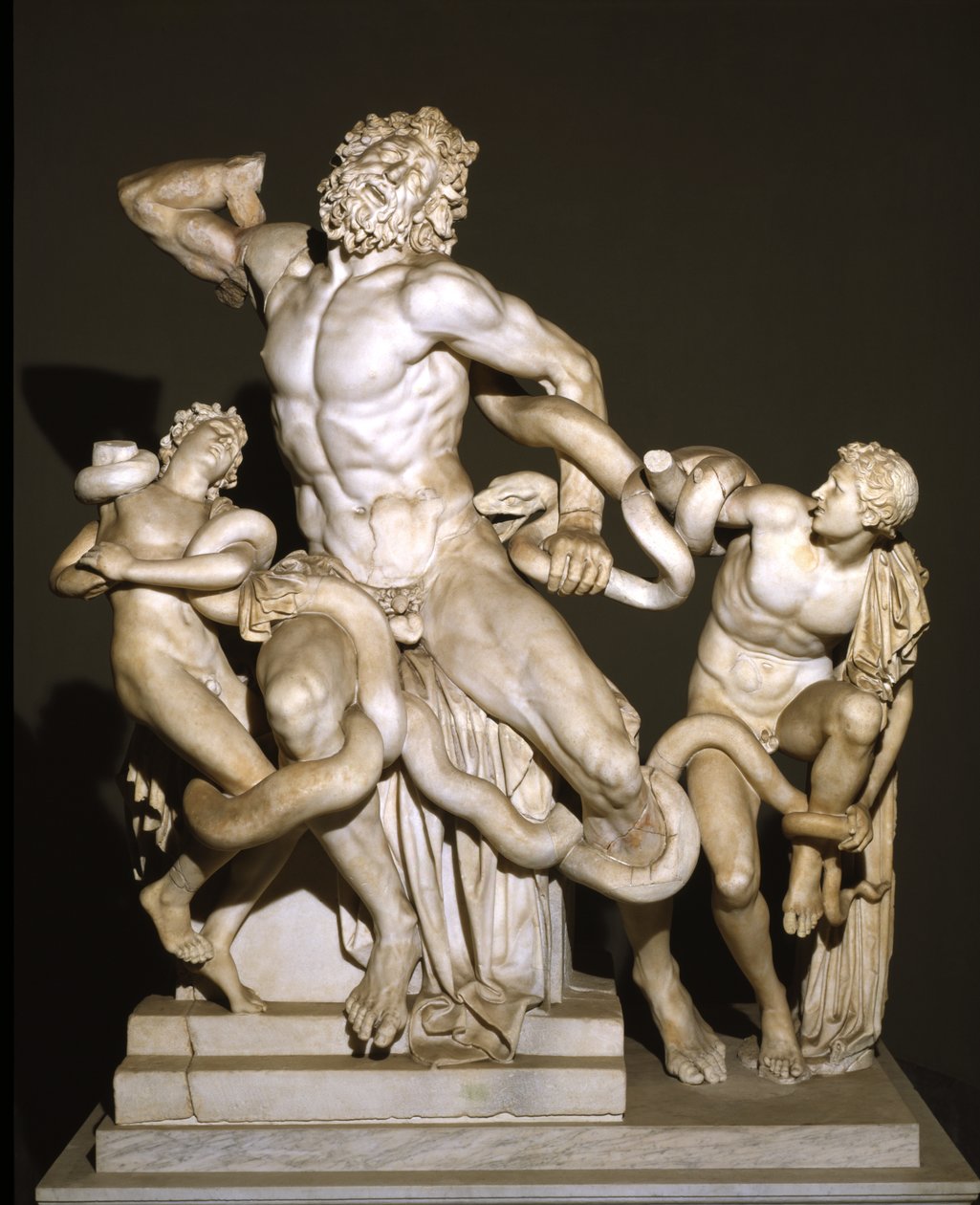Laocoön ja hänen poikansa (marmori) tekijältä Roman